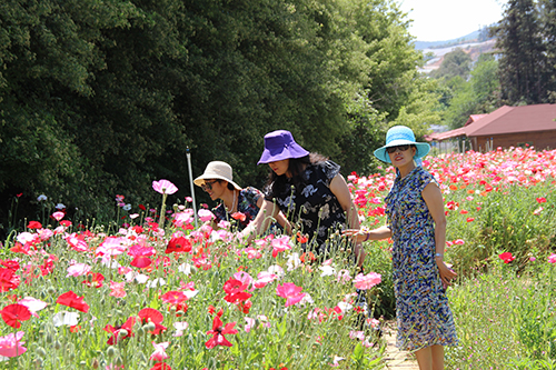 1_20200520091345416.jpg 1_20200520091345416.jpg