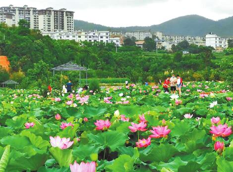 QQ截图20200810104840.jpg QQ截图20200810104840.jpg