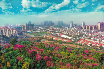 QQ图片20220105082538.png