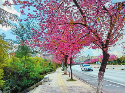 QQ图片20220105082552.png