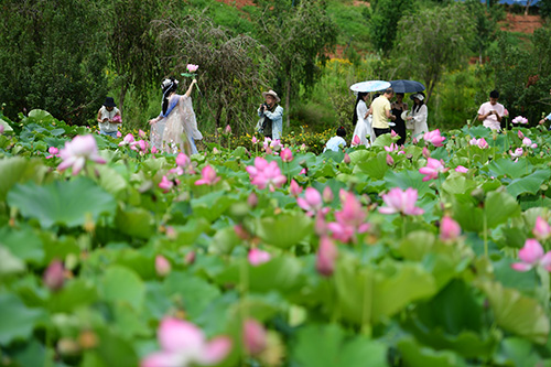 花开满园迎客来.jpg