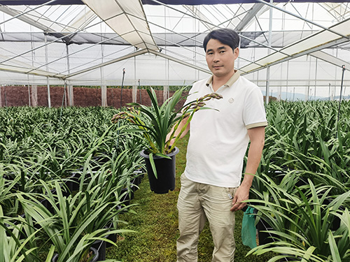 兰科植物推动乡村振兴“一路生花”.jpg