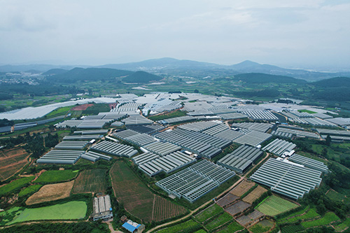 兰科植物推动乡村振兴“一路生花”1.jpg
