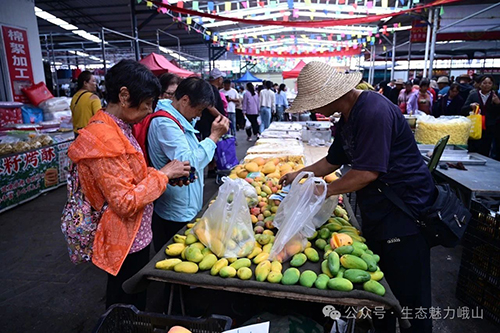 微信图片_20250611111116.jpg